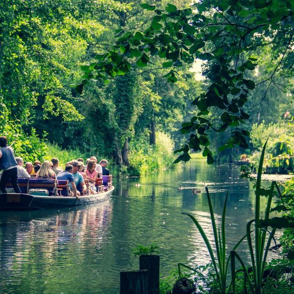 Bild aus der Region Spreewald